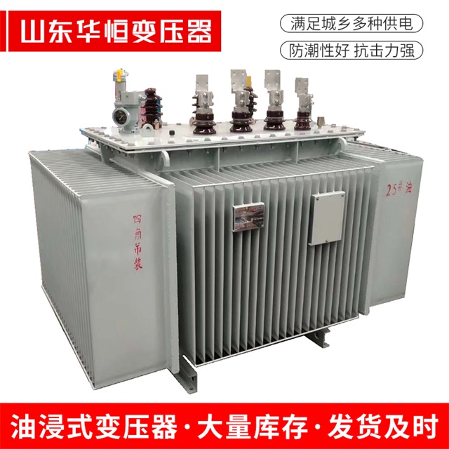 S13-10000/35会东会东会东电力变压器厂家
